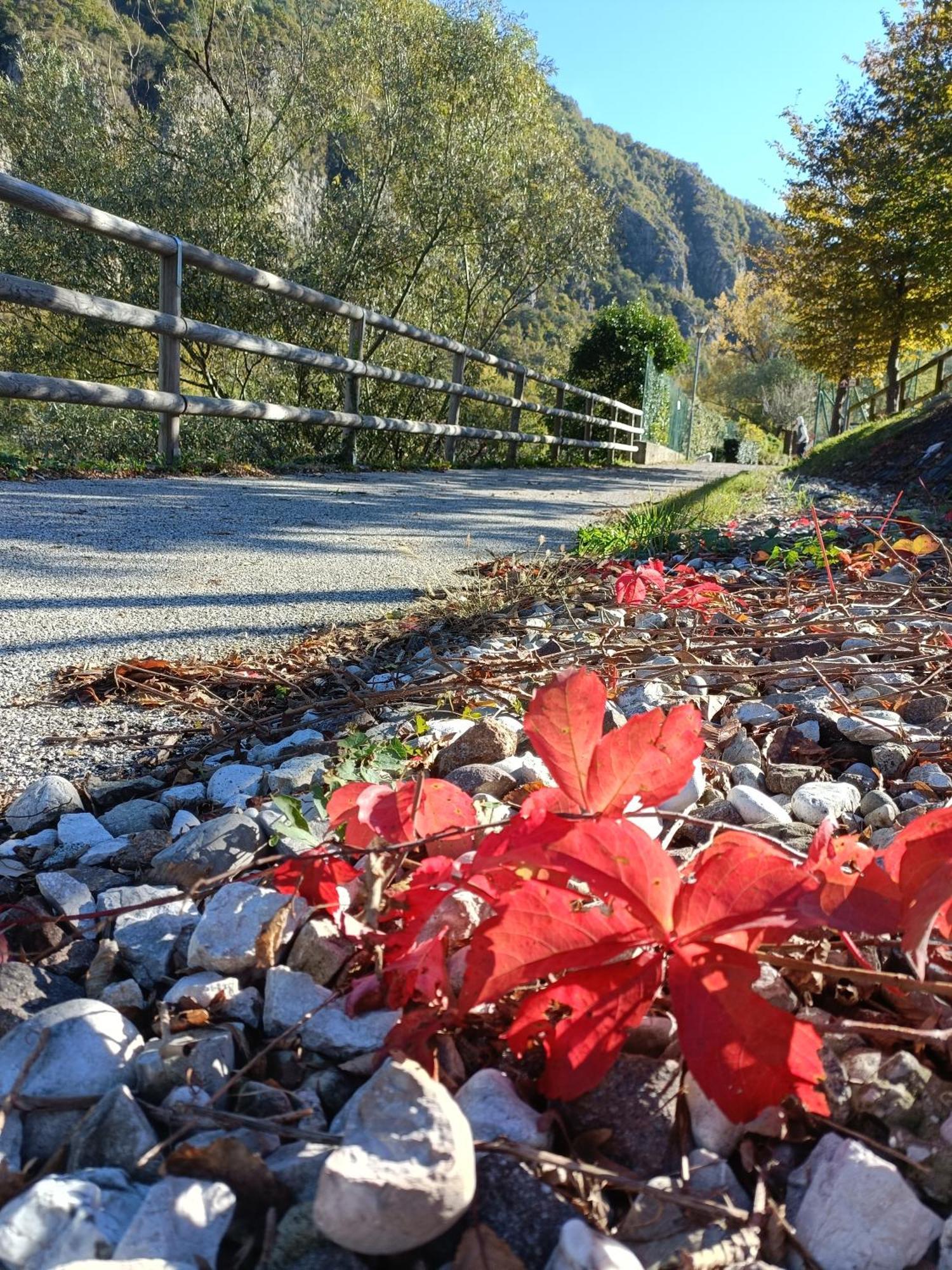 Borgo Lungofiume B&B Valbrenta Dış mekan fotoğraf