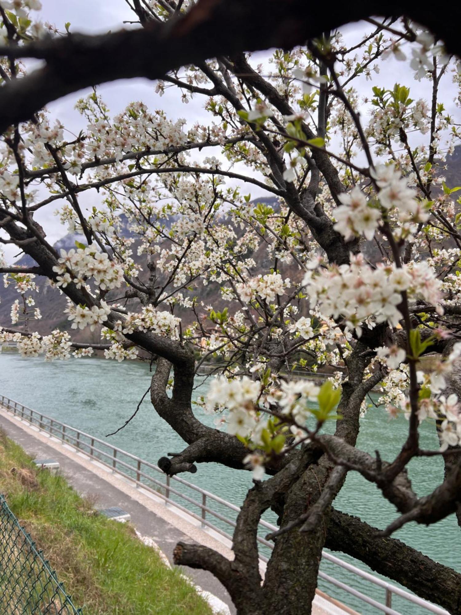 Borgo Lungofiume B&B Valbrenta Dış mekan fotoğraf